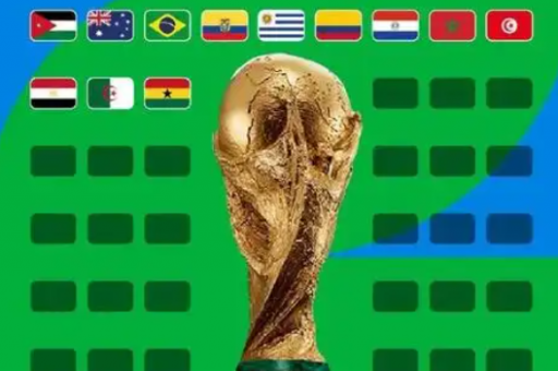 世界杯100元中了63万,世界杯彩票买100中多少 世界杯100元中了63万,世界杯彩票买100中多少